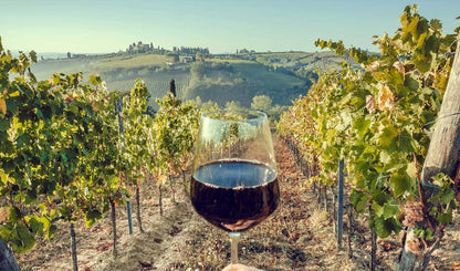 Everything You Need to Know About Tuscan Wine