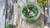 Pumpkin seed pesto