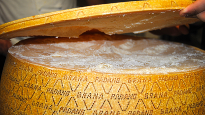 Everything You Need to Know About Grana Padano