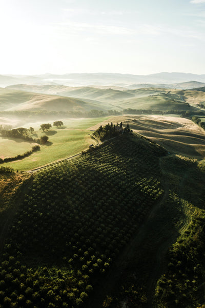 Event masterclass Pasta Evangelists ‘Taste of Tuscany' Experience